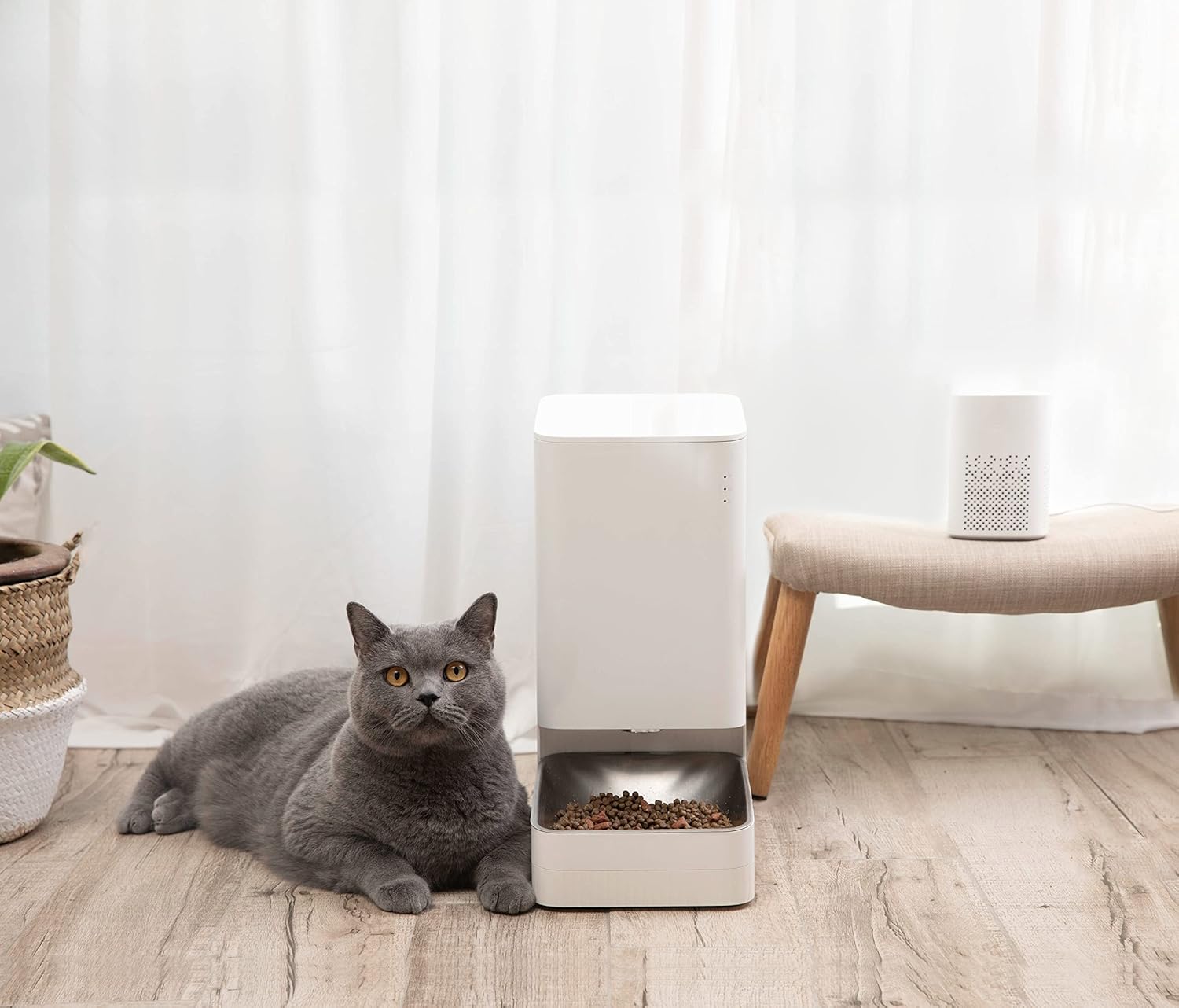 Xiaomi Smart Pet Food Feeder 2 con cámara